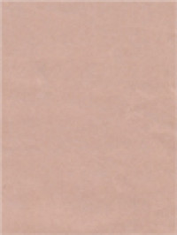 Image of Kursus Kaderisasi Spiritualitas