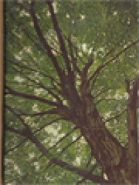 Image of Trees