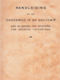 Handleiding Bij Het Onderwijs In De Anatomie, Aan De School Tot Opleiding Van Indische Tandartsen