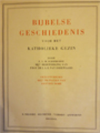 Image of Bijbelse Geschiedenis Voor Het Katholieke Gezin: Geillustreerd Met 100 Platen Van Gustave Dore