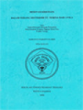 Meditasi Kristiani Dalam Terang Mistisisme St. Teresa Dari Avila