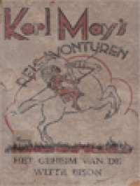 Image of Het Geheim Van De Witte Bison