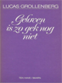 Image of Geloven Is Zo Gek Nog Niet: Een Manier Van Bijbellezen