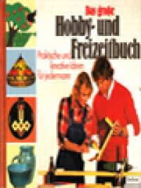 Image of Das Große Hobby- Und Freizeitbuch. Praktische Und Kreative Ideen Für Jedermann