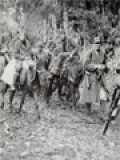 Partisan Dan Gerilyawan