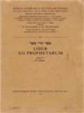 ספר תרי עשר (Liber XII Prophetarum)
