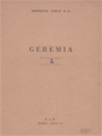 Image of Geremia 2