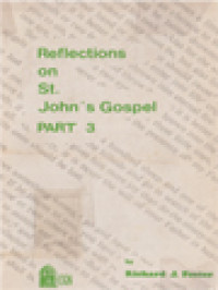 Image of Reflections On St. John's Gospel, Part 3 (Cha. XIII-XXI)