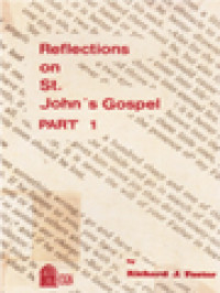 Image of Reflections On St. John's Gospel, Part 1 (Cha. I-IV)