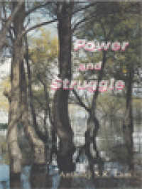 Image of Power And Struggle: The Authentic Church Structure Of The Catholic Diocese In China And The Abuse Of Political Power