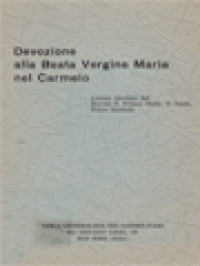Image of Devozione Alla Beata Vergine Maria Del Carmelo: Lettera Circolare Del Rev. mo. P. Kiliano Healy, O.Carm., Priore Generale