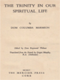 Image of The Trinity In Our Spiritual Life