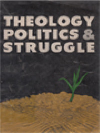Image of Theology Politics & Struggle / Feliciano V. Cariño (Editor)