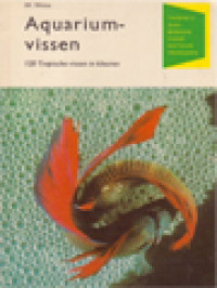 Image of Aquariumvissen: 120 Tropische Vissen In Kleuren