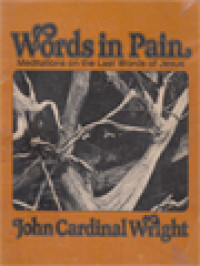 Image of Words In Pain: Meditations On The Last Words Of Jesus
