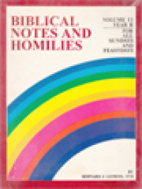 Image of Biblical Notes And Homilies, Volume II: Year B (For All Sundays And Feastdays)