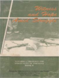 Image of Witness And Hope Amid Struggle: Towards A Theology And Spirituality Of Struggle Book II