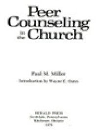 Image of Peer Counseling In The Church