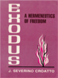 Image of Exodus: A Hermeneutics Of Freedom