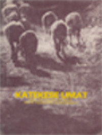 Image of Katekese Umat: Hasil Pertemuan Kateketik Antar Keuskupan Se-Indonesia II