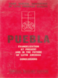 Image of Puebla: Evangelization At Present And In The Future Of Latin America