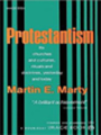 Image of Protestantism: History Of Religion Series