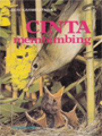 Image of Cinta Membimbing: Kutipan Dari Madah Rohani Karangan St. Yohanes Dari Salib