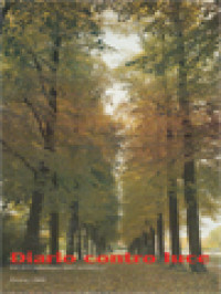 Image of Diario Contro Luce: Esperienza Religiosa Di Maria Teresa Scrilli