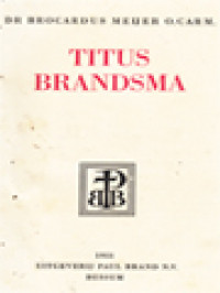 Image of Titus Brandsma