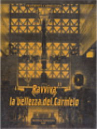 Image of Ravviva La Bellezza Del Carmelo: Sussidio Per La Formazione Al Carisma E Alla Spiritualit