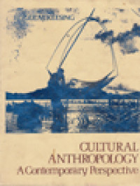 Image of Cultural Anthropology: A Contemporary Perspective